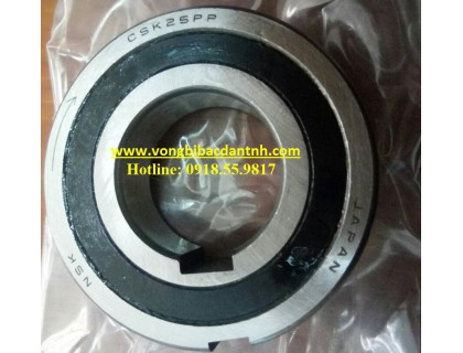 BẠC ĐẠN CSK30 PP NSK